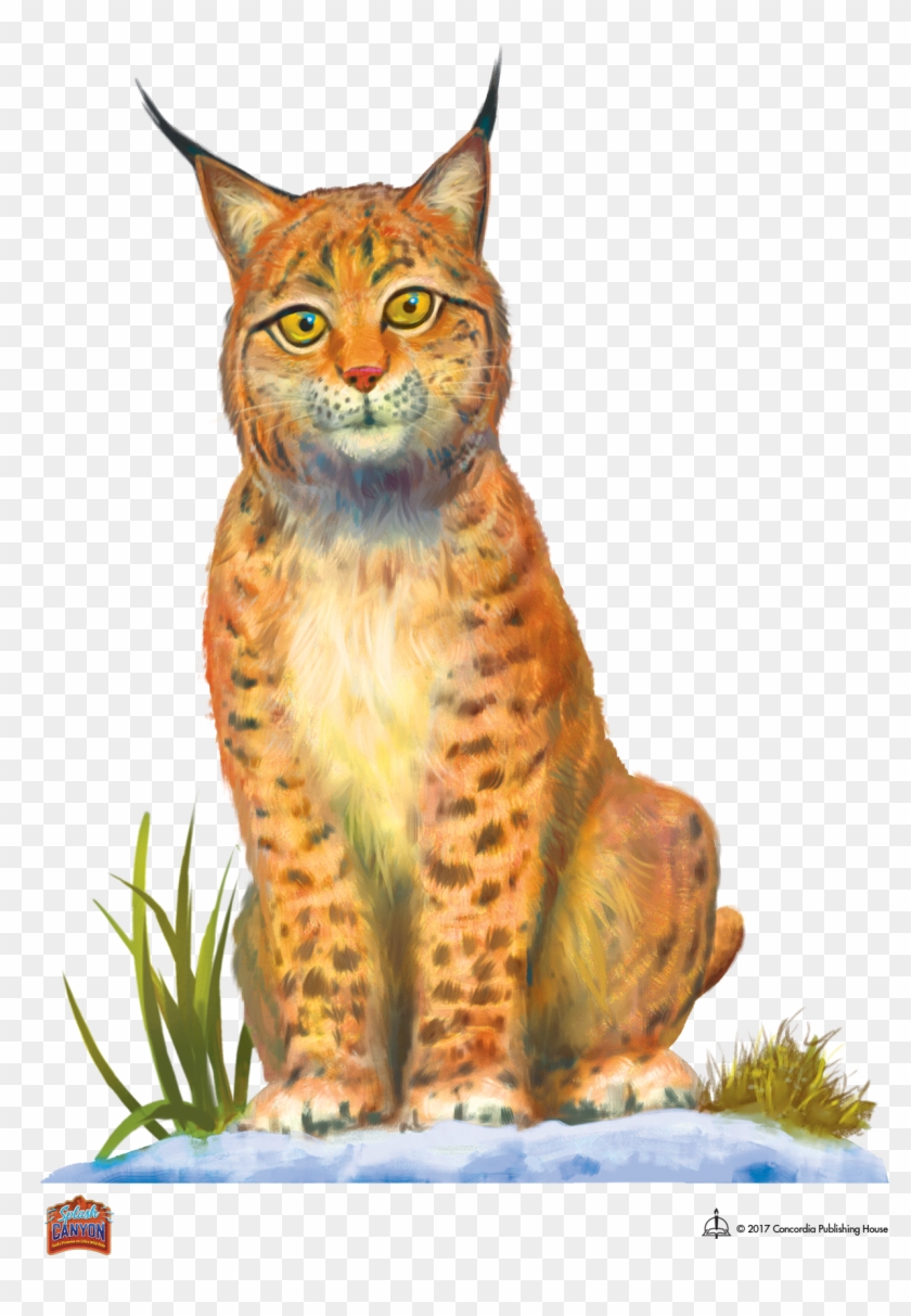 Splash Canyon Vbs 2018 Decorating Art - Splash Canyon Animals Clipart