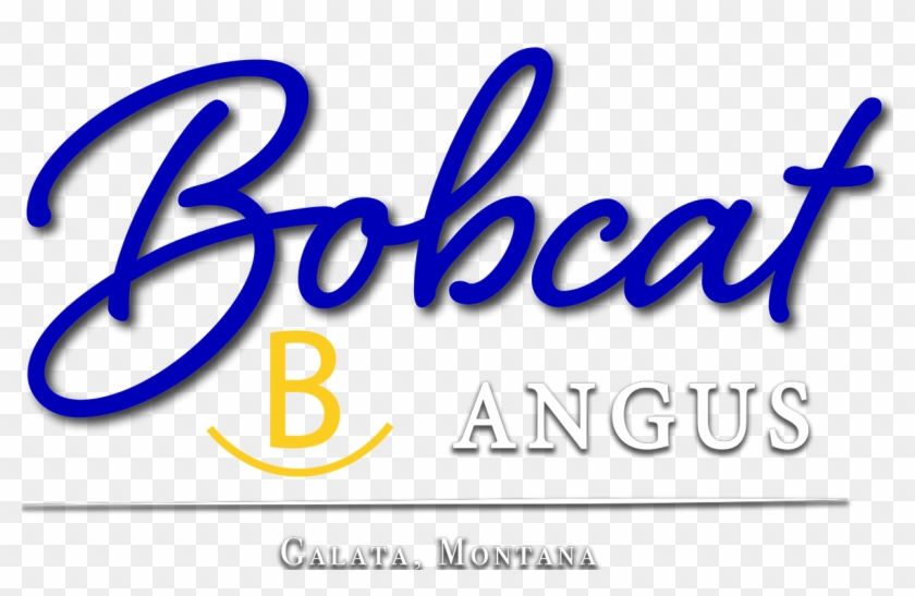 Bobcat Angus - Calligraphy Clipart #1518854