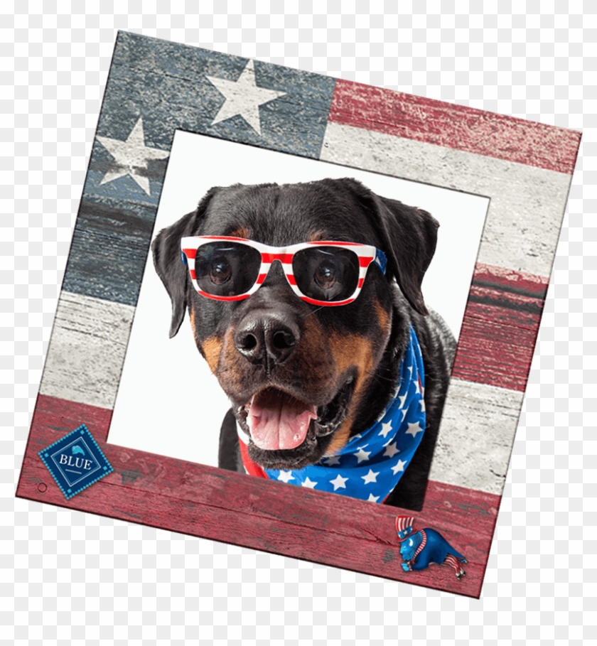 Check Out All Our Patriotic Entries In The Gallery - Dog Yawns Clipart #1519166
