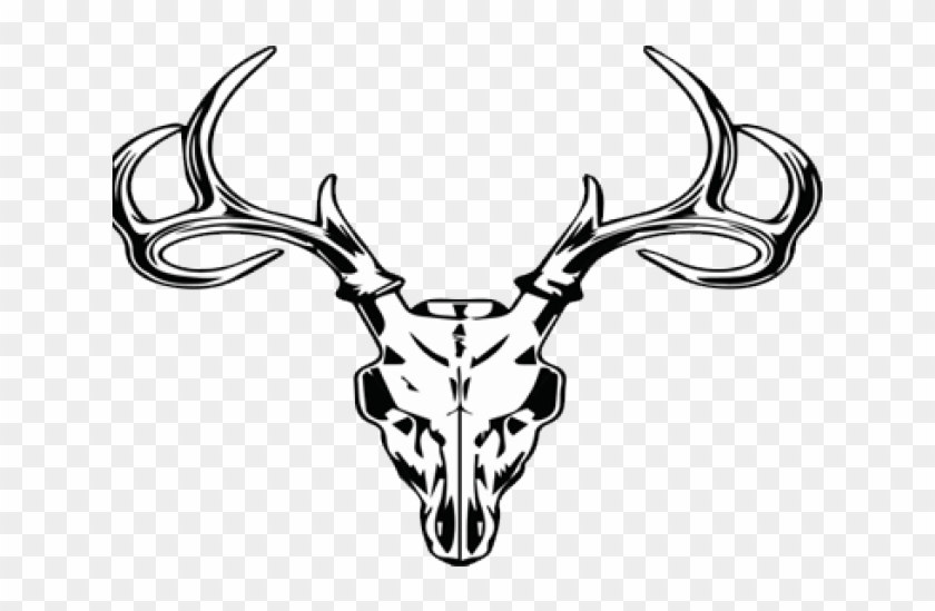 Camo Clipart Deer Skull - Deer Skull Clipart - Png Download #1519431