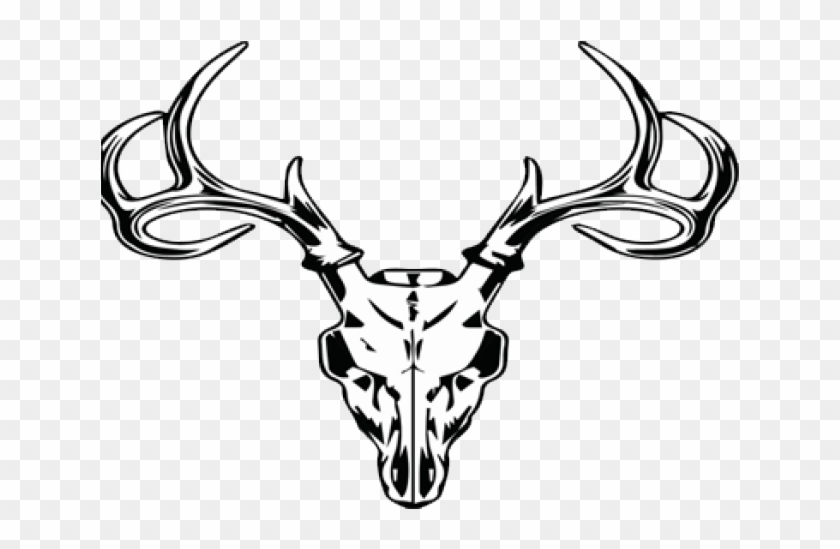 Camo Clipart Deer Skull - Deer Skull Clipart - Png Download