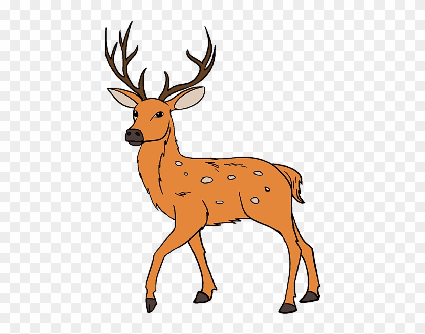 White Tailed Drawing Antler Painting Sika Whitetailed - Drawing Of Deer With Colour Clipart