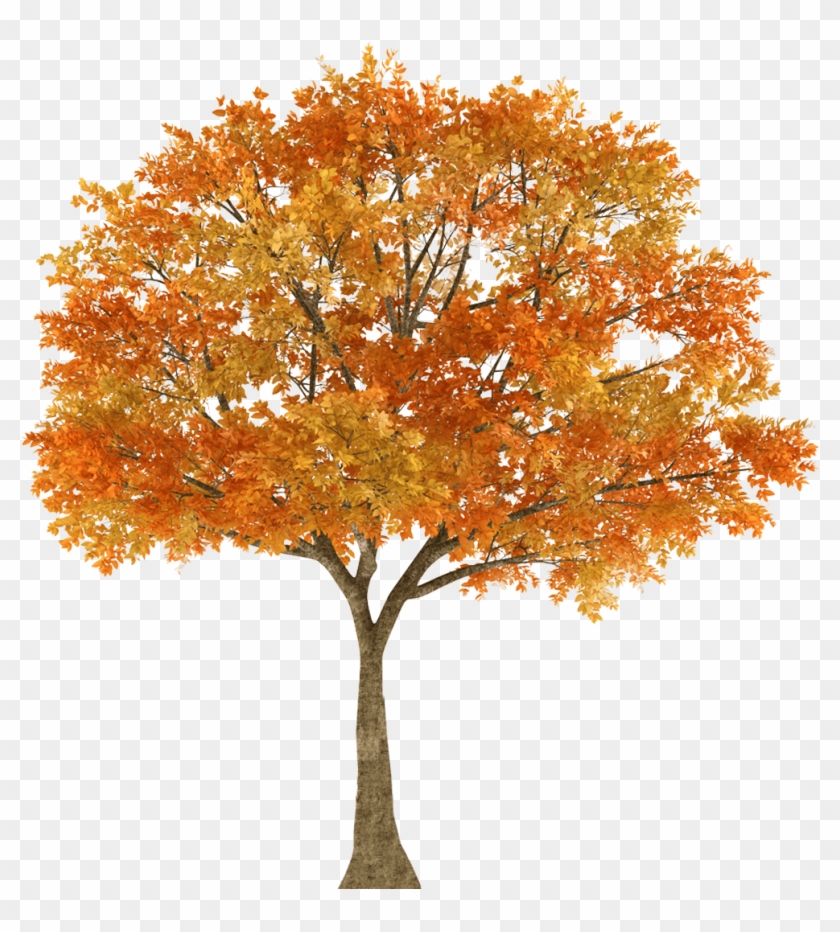 Get In Touch - Tree Silhouette Transparent Clipart #1520246