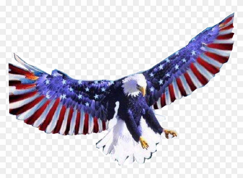 Recent Searches - American Flag Bald Eagle Transparent Clipart