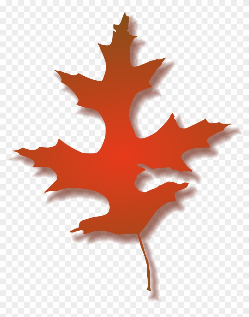 This Free Icons Png Design Of Oak Leaf Clipart #1520390