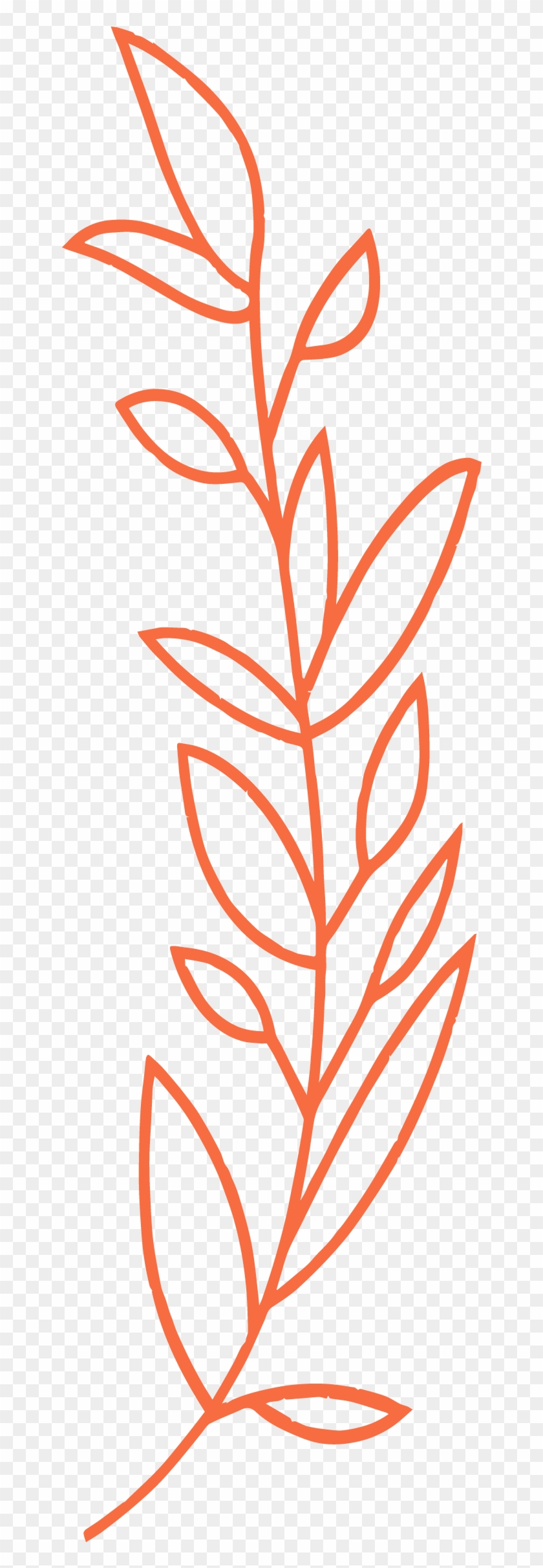 Laurels Orange Clipart #1520417