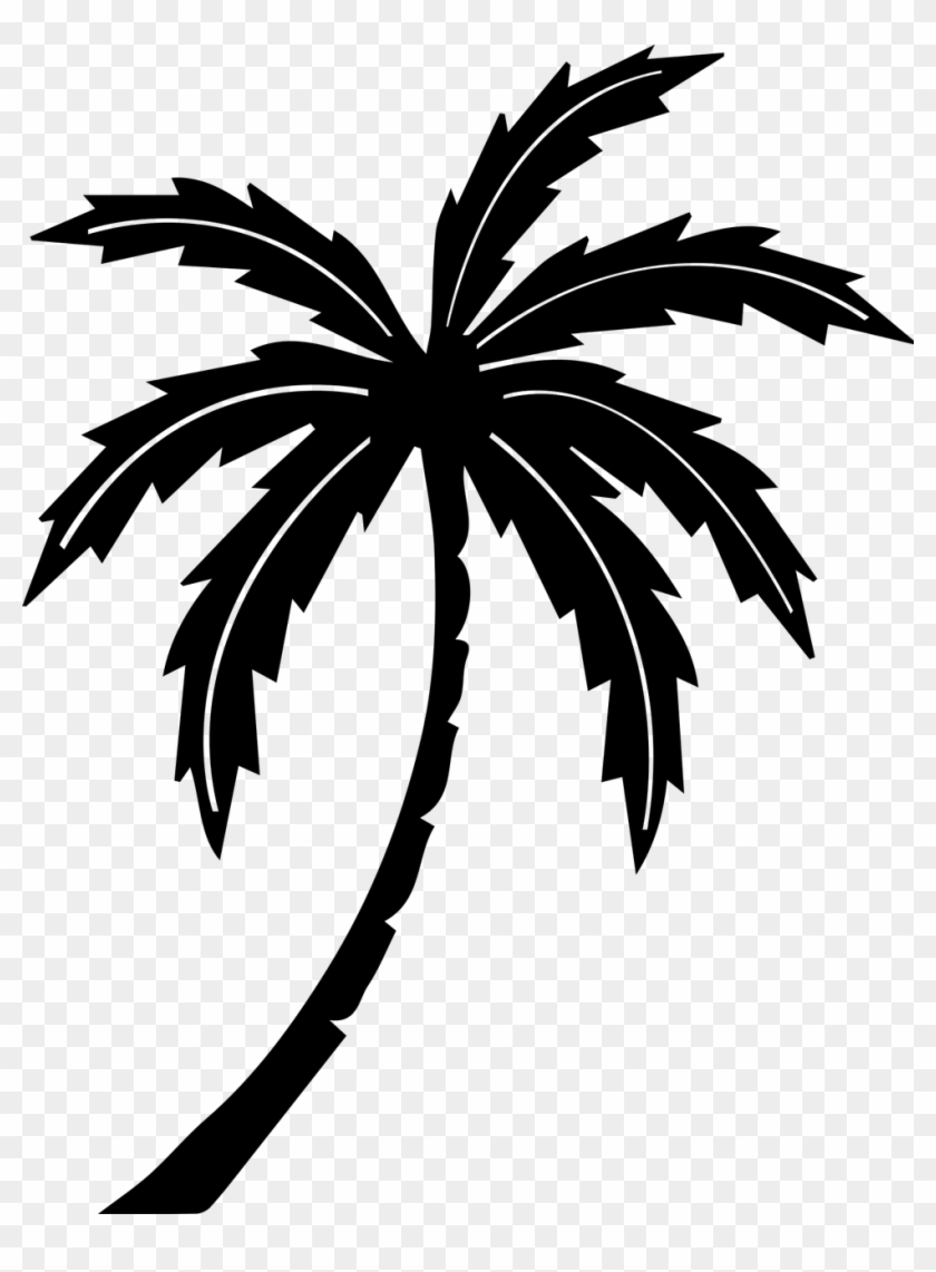 Palm Tree,tree,tropic,free Vector Graphics,free Pictures, - Black And White Palm Tree Clipart #1520537