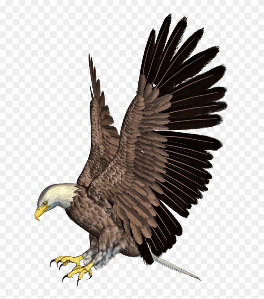 Transparent Eagle Clip Art - Eagle Png