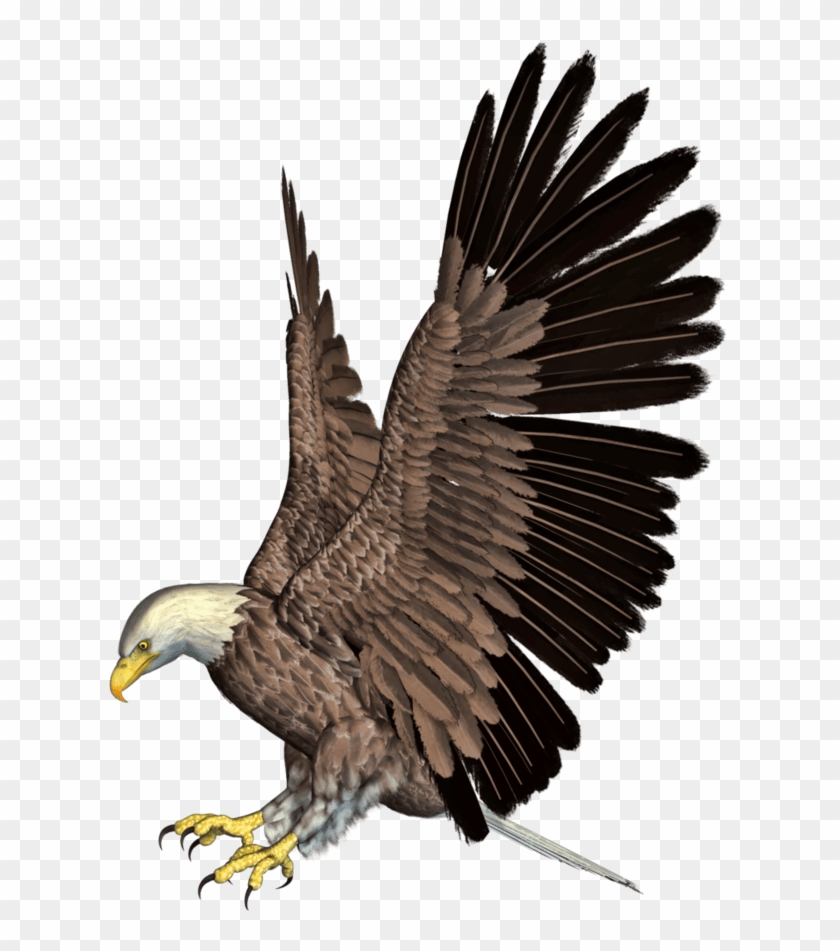 Transparent Eagle Clip Art - Eagle Png #1520659
