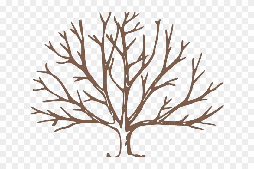 Dead Tree Clipart Tree Outline - Draw A Tree With Snow - Png Download