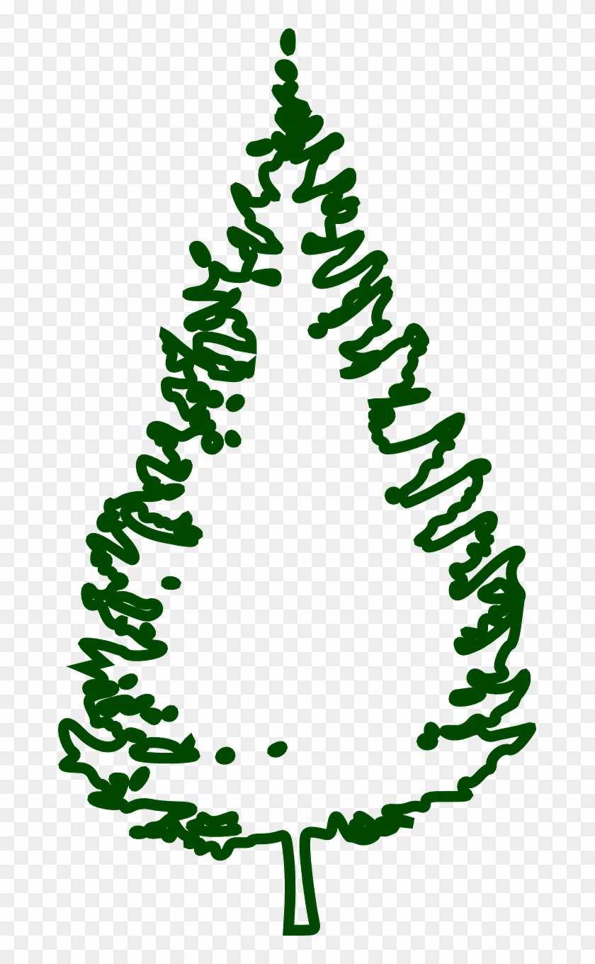 Fir Tree Conifer Tree Forest Png Image - Christmas Tree Png Outline Clipart #1521760
