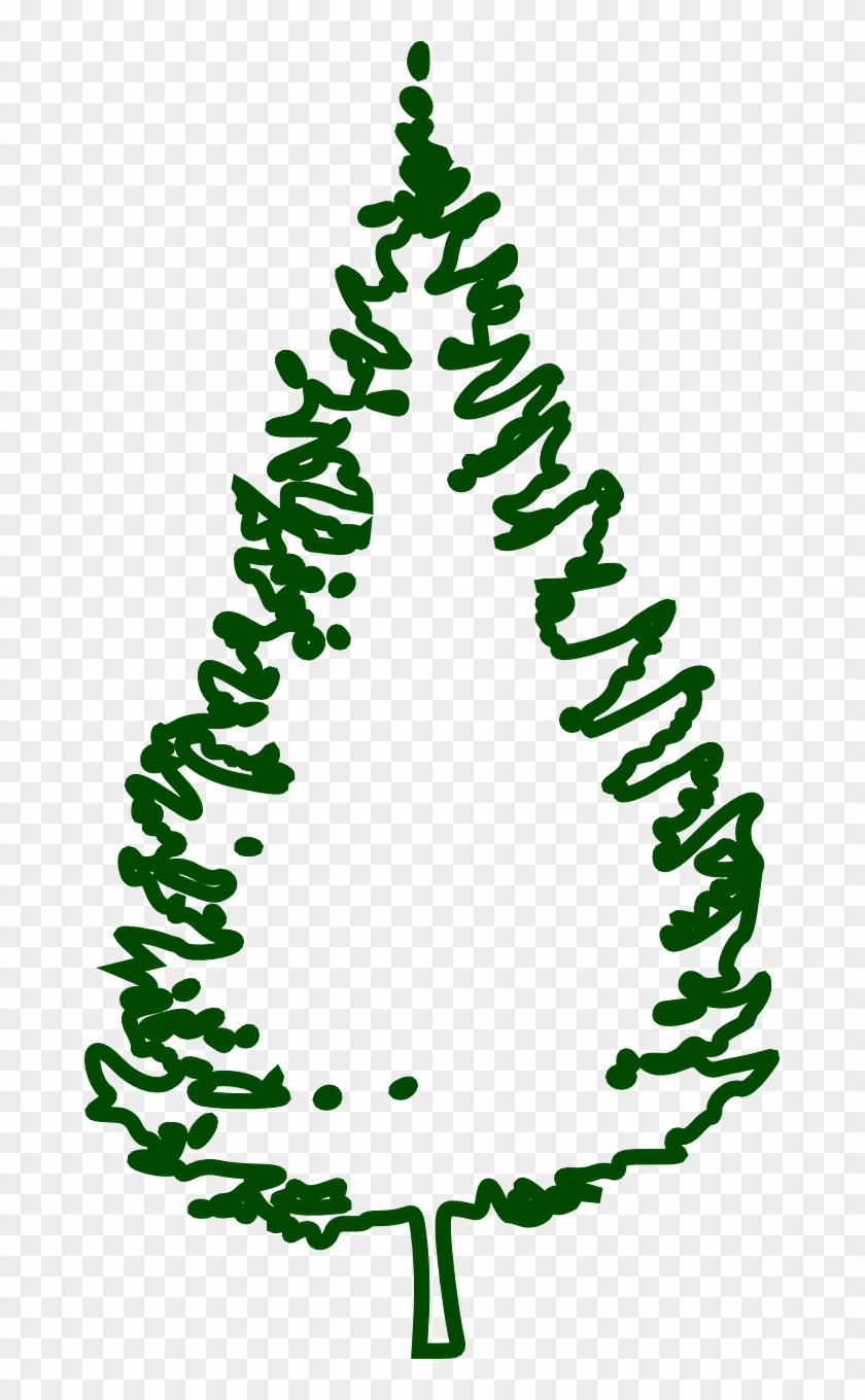 Fir Tree Conifer Tree Forest Png Image - Christmas Tree Png Outline Clipart