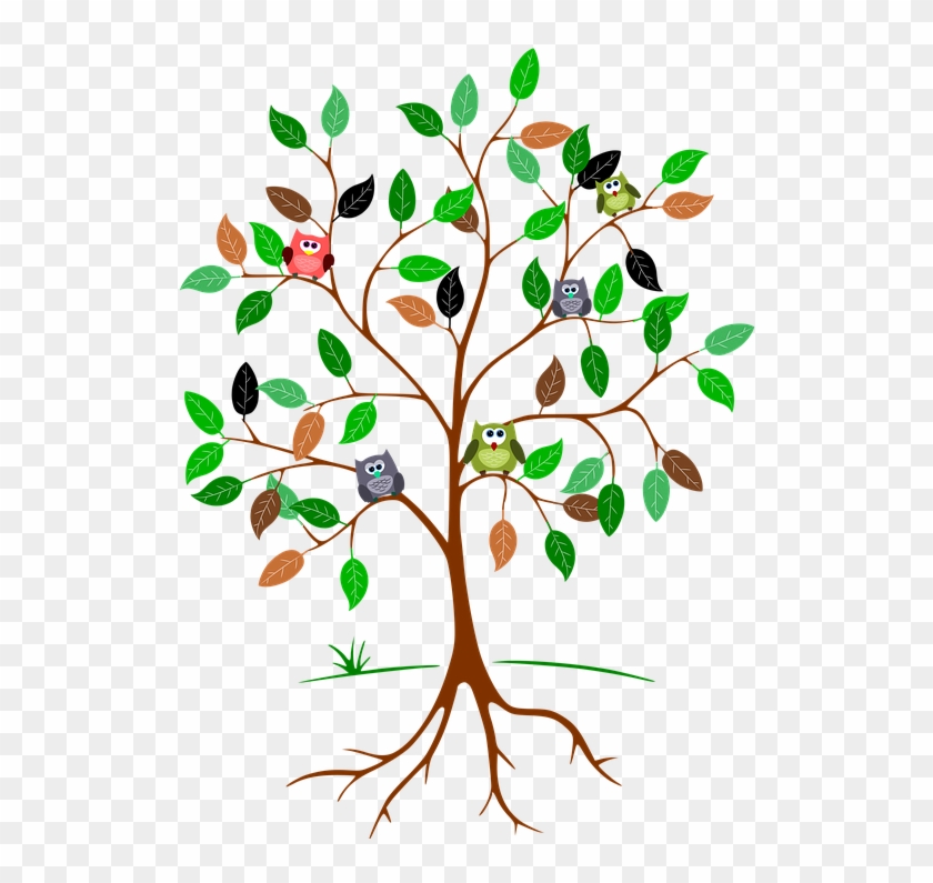 Tree, Root, Leaves, Owls, Green, Brown - Tree With Roots And Branches Clipart #1522325