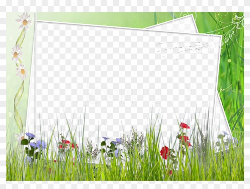 Free Png Best Stock Photos Green And White Transparent - Green Flower Borders And Frames Clipart #1522925