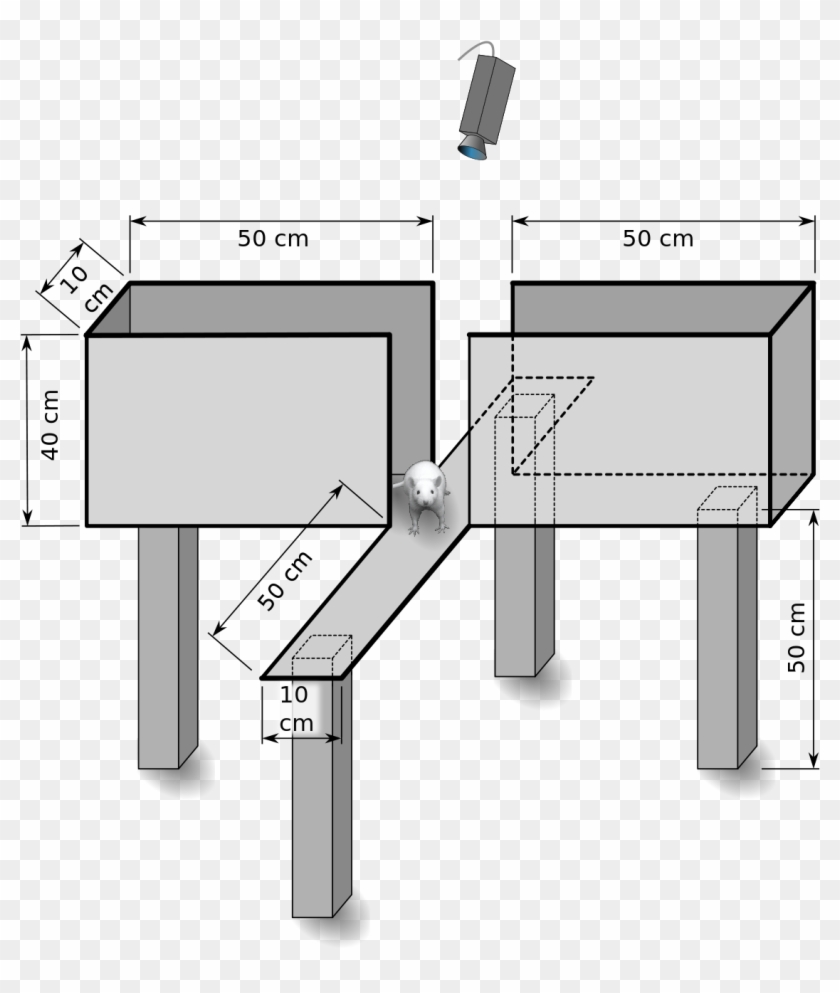 Elevated Plus Maze Apparatus Clipart