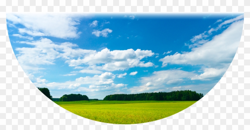 Cropclean Was Founded In 2008 As A Result Of The Need - Fondo De Productos Naturales Clipart #1523363
