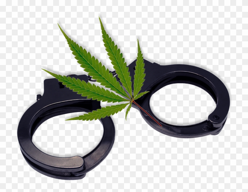 Philadelphia Marijuana Dui Lawyer - Rear-view Mirror Clipart
