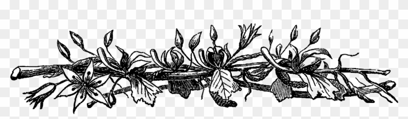 Rustic Png - Border Black And White Flower Transparent Clipart