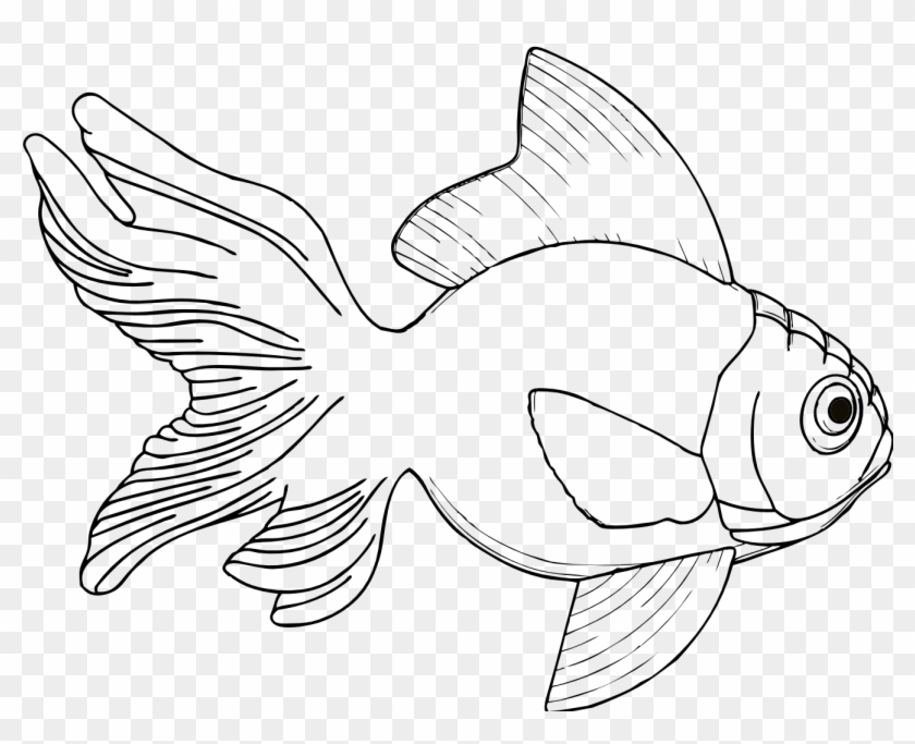 Fishing Net Clipart Transparent - Line Drawing Of A Fish - Png Download #1526189