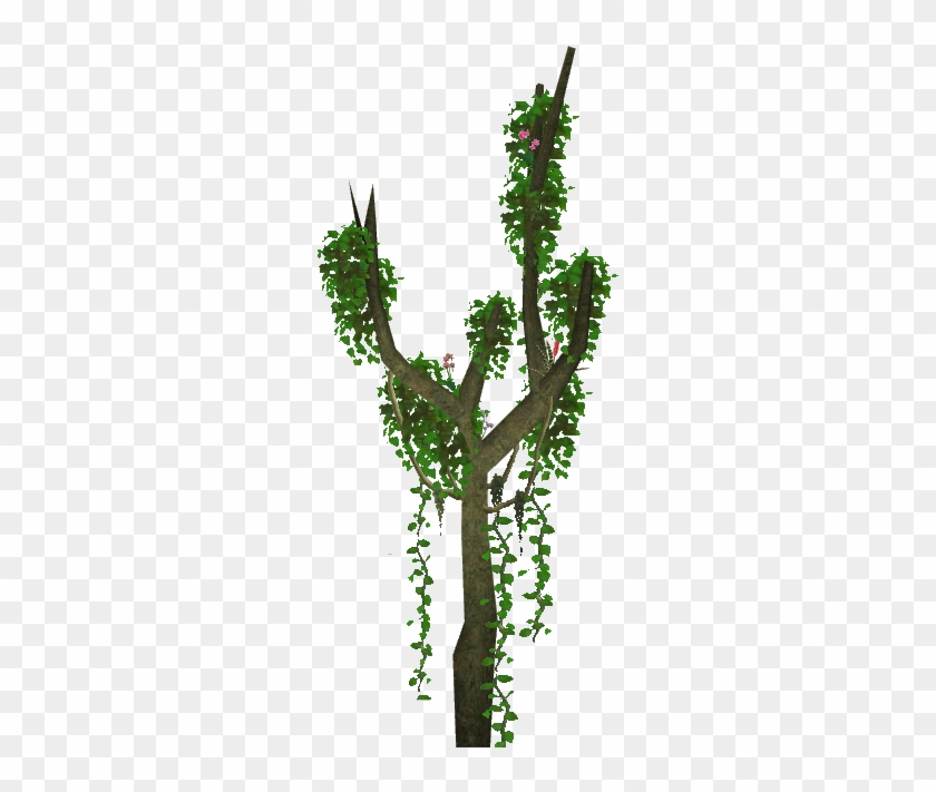 Jungle Tree Png - Trees Png Zt2 Clipart #1526615