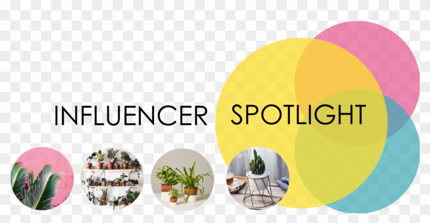 Indoor Plants Are Currently A Growing Trend And We - Circle Clipart #1527168