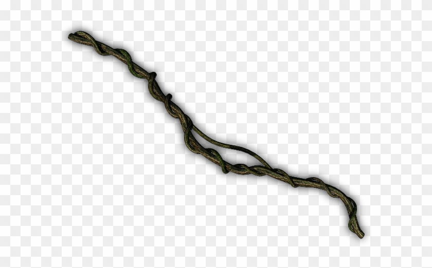 23 92k Vinegreen02 Kpl A 06 Feb 2009 - Rainforest Vine Png Clipart #1527442