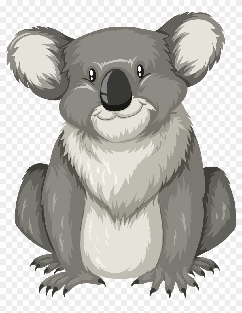 2000 X 2418 5 - Koala Flashcard Clipart #1530416