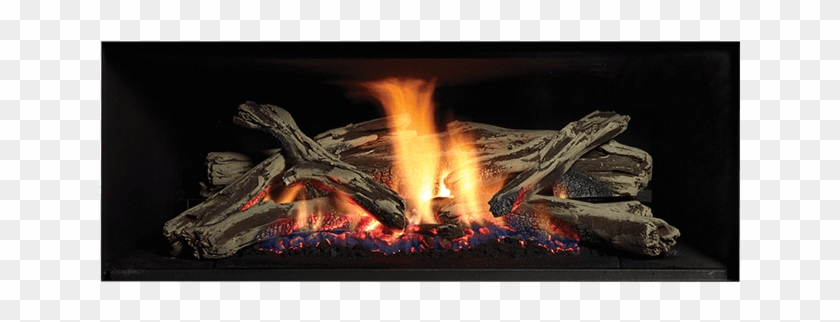 Standard Features - Regency Gf900l Clipart #1531214