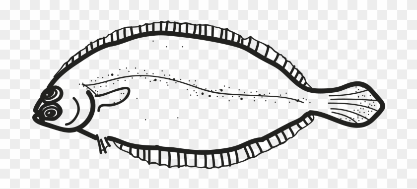 Witch Flounder - California Flounder Clipart