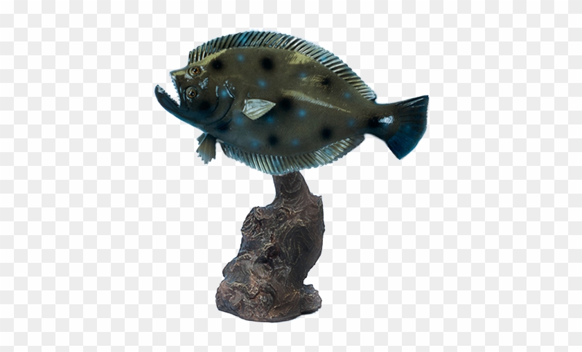 Tt127png1 - Green Sunfish Clipart