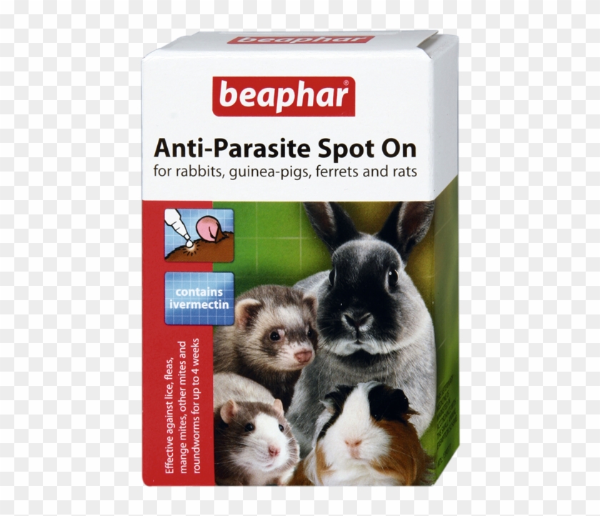 Beaphar Anti-parasite Spot On For Rabbit And Rodents - Beaphar Anti Parasite Spot Clipart