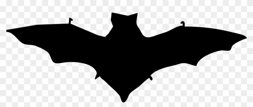Bat Contour Halloween 999px - Siluet Kelelawar Clipart #1533606