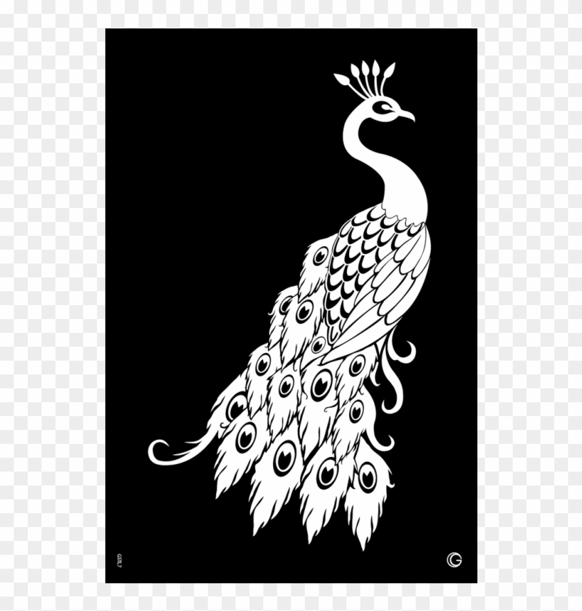 Gstl7 Proud Peacock 0f24ca75 4ac6 4d42 9c73 A428090a76da - Paper Cutting Templates Peacock Clipart #1534323