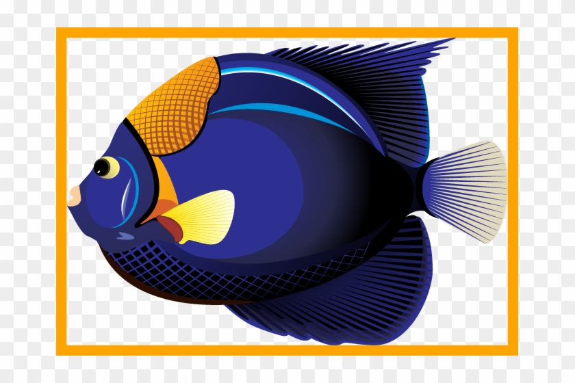 Fascinating Collection Of Fish Clipart Bw High Quality - Realistic Fish Clip Art - Png Download