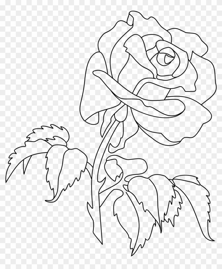 Big Image - Rose Drawing Png Clipart #1534827