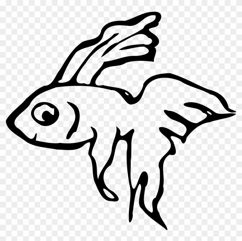 Gold Crown Clipart - Beta Fish Clip Art - Png Download #1534865