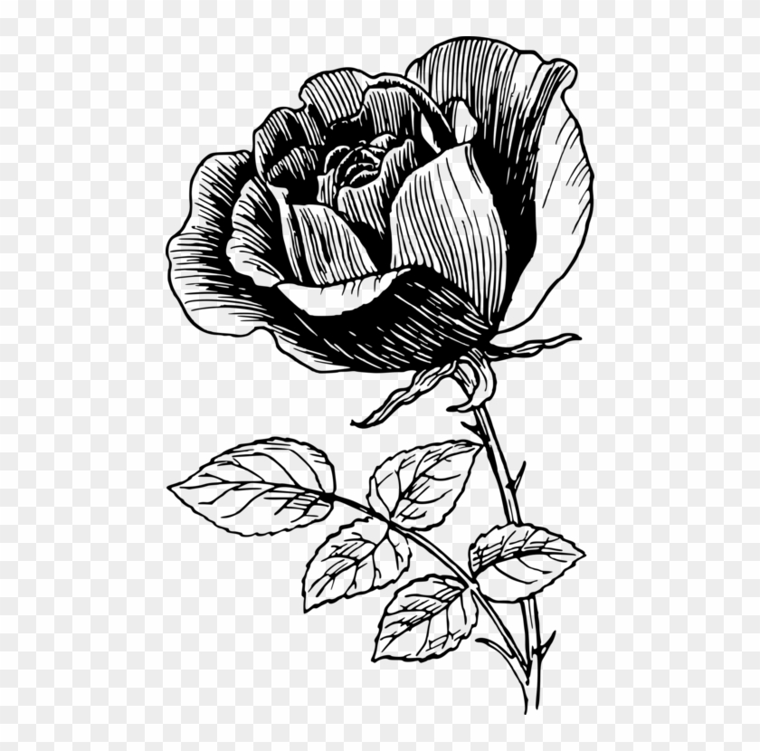 Png Library Stock Floral Design Pink Computer Icons - Rose Drawing Floral Designs Clipart