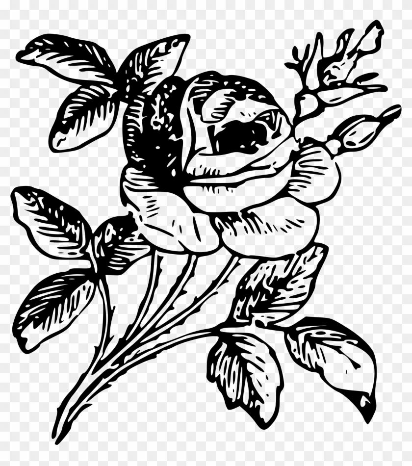 Big Image - Rose Draw Png Clipart
