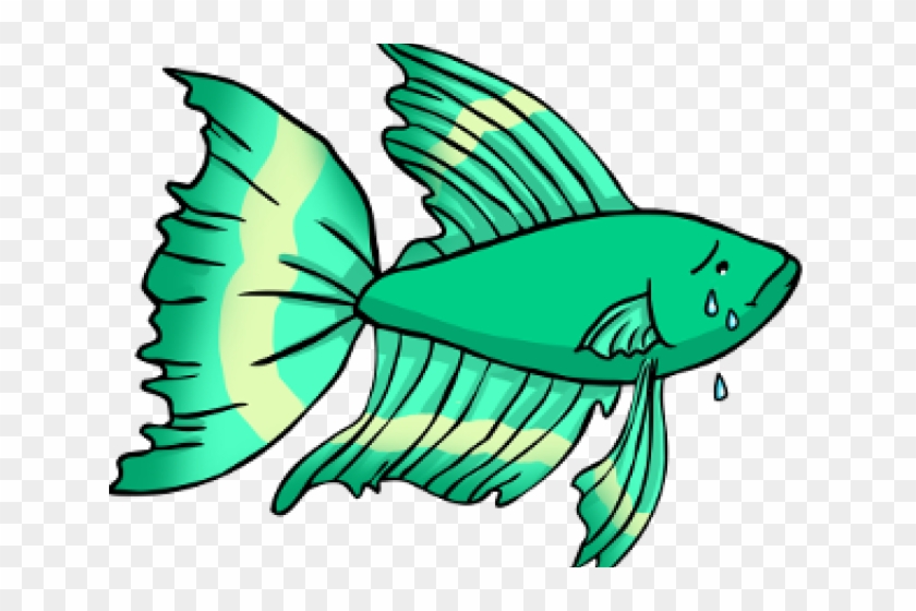 Tropical Fish Clipart Betta Fish - Lonely Betta Fish - Png Download #1535440