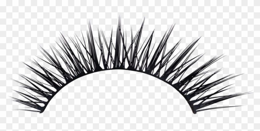 Transparent Eyelashes Clipart - Png Download
