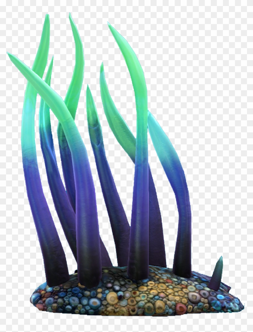 Writhing Weed Flora Clipart