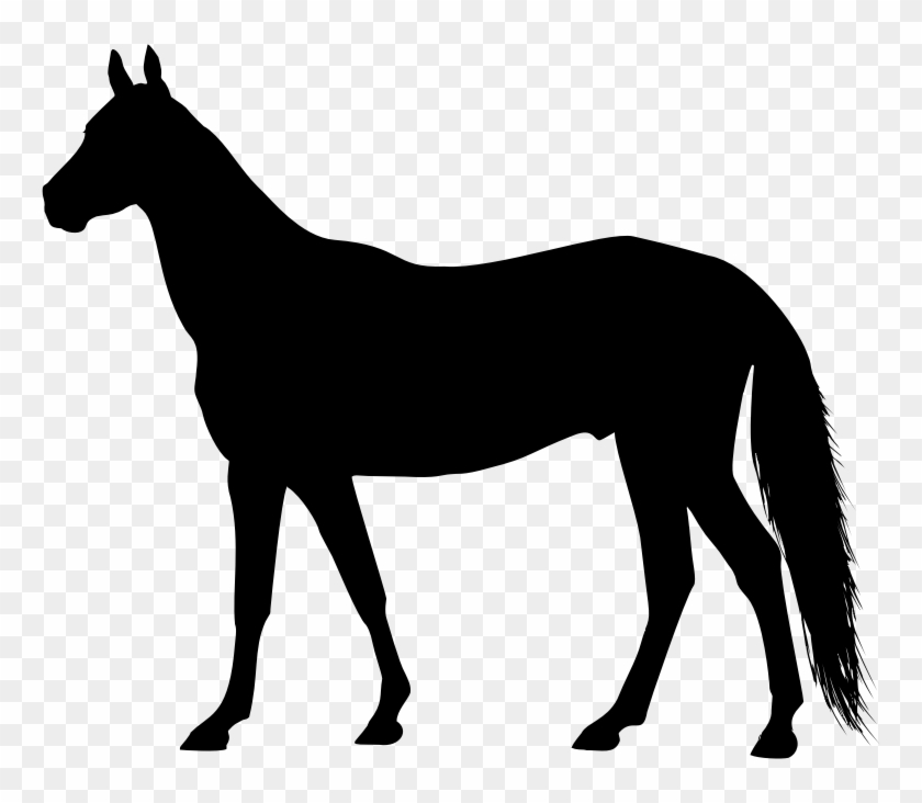 Medium Image - Clip Art Horse Silhouette - Png Download #1537789