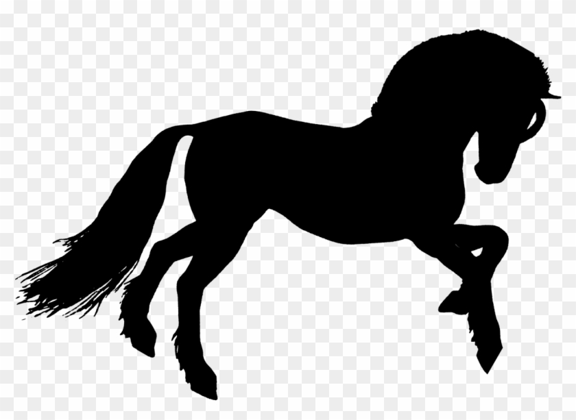 Horse Silhouette Wild - Stallion Clipart