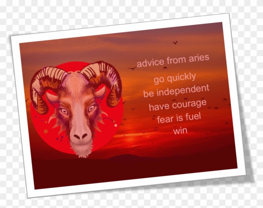 Advice From Aries - Bighorn Clipart #1538342