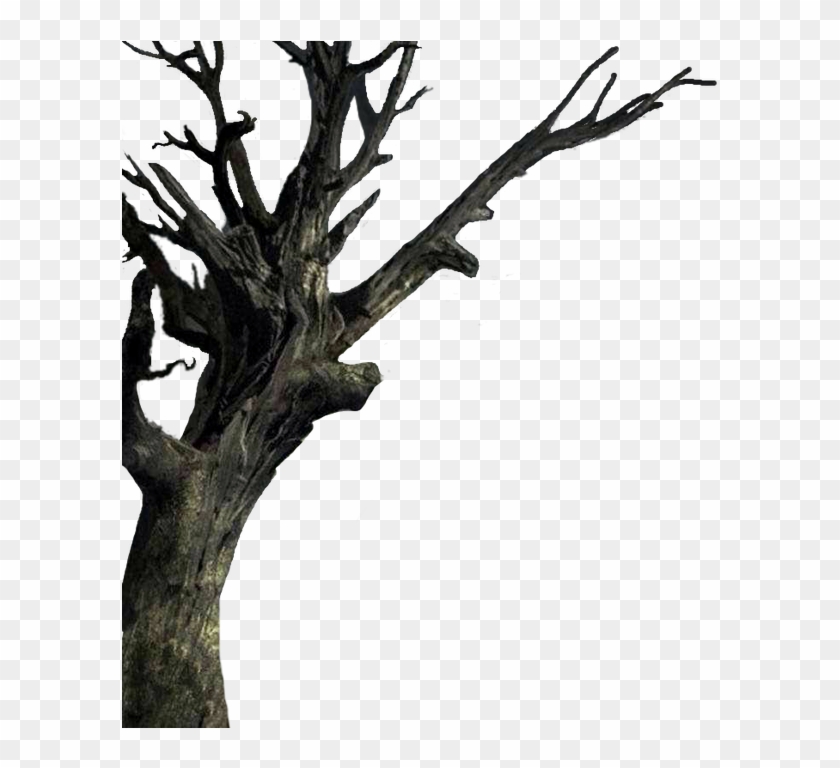 Isolated The Tree - Haunted House Clipart