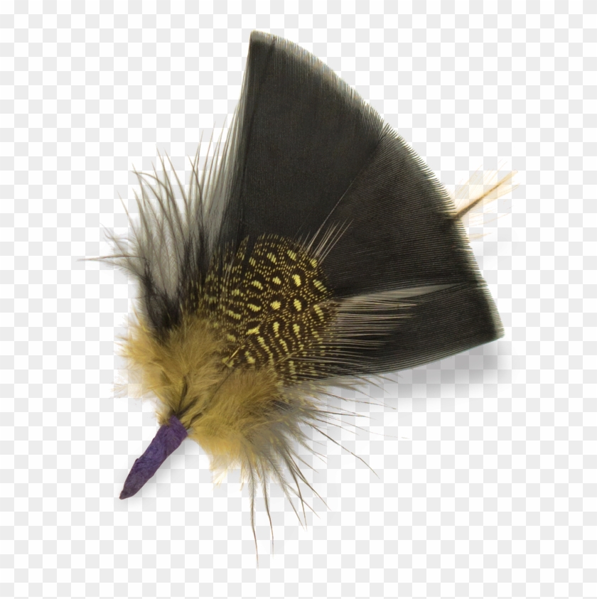 Rhea - B2c Catalog - Invertebrate Clipart