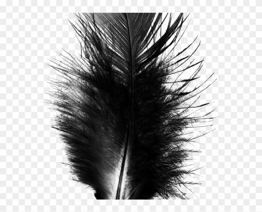 Monochrome Clipart #1539429