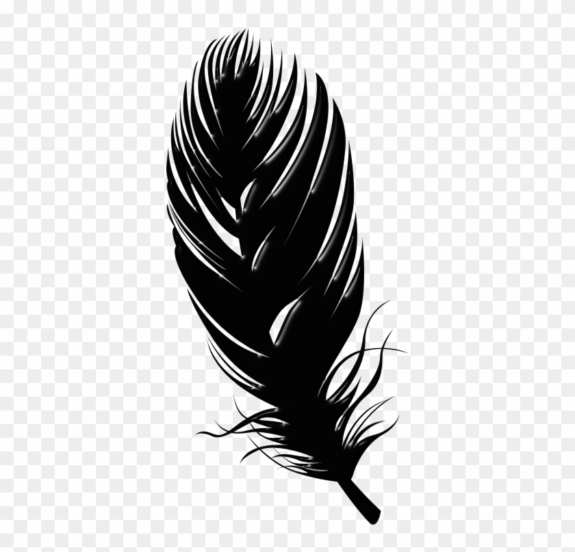 Black Feathers 800 X 400 Click Image For Full Size - Feather Silhouette Png Clipart
