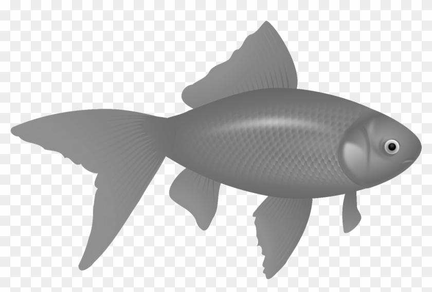 Fish Image Free Download Png Black Christian Fish Png - Fish Vectors Clipart #1540334