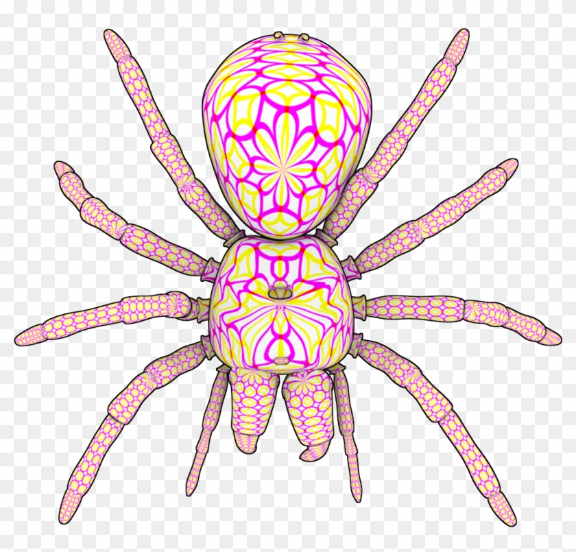 Insect , Png Download - Wolf Spider Clipart #1540955